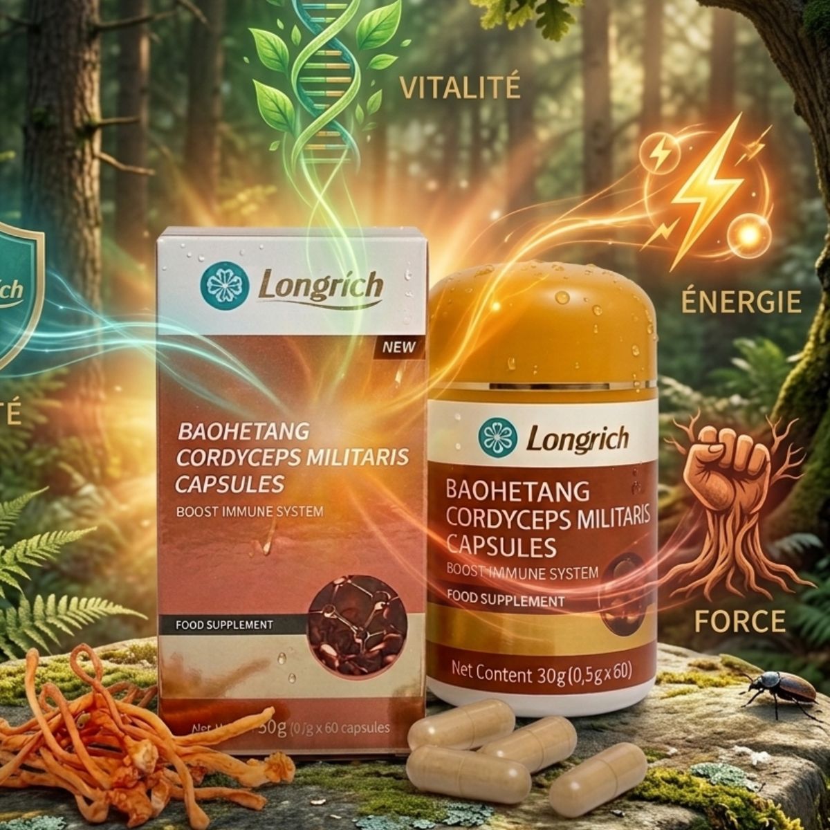 cordiceps militaris longrich